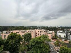 Shelford 23 (D11), Apartment #554541421